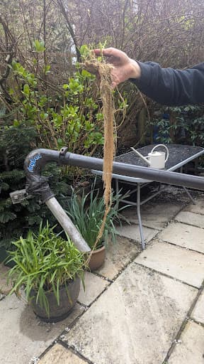 Ben's Gutters London — Customer photo