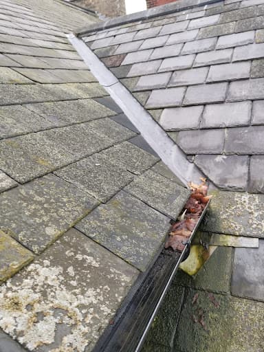 Gutter Solutions - Gutter cleaning and Repairs — Customer photo