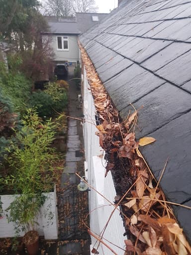 London Gutter Clean — Customer photo