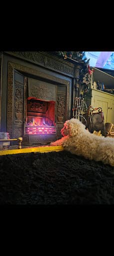 Midlands Sweeps Chimney and Stove Services — Customer photo