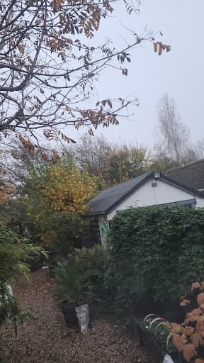 Active Roofing & Building Services Ltd — Customer photo